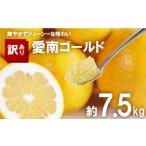 ふるさと納税 愛媛県 愛南町 訳あり 愛南ゴールド 約7.5kg 柑橘 フルーツ みかん 河内晩柑 夏 文旦 かわちばんかん わけあり 傷 きず 規格外 不揃い 大樹農園 …