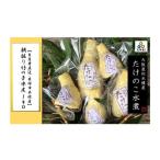 人参 大根 他根菜 予定 生産者直送 木積産 朝掘り竹の子水…