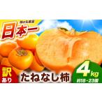 ふるさと納税 果物類 柿 奈良県 五條市  訳あり たねなし柿 約4kg （ 18〜23個 ) 大人気 | 種無し たねなし 柿 フルーツ 果物 くだもの カキ かき 農家直送 家…