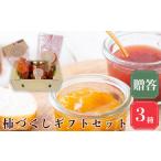 果物類 柿 堀内果実園 柿づくし セット おくりもの