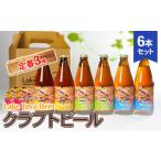 ビール Lake Toya Beer クラフトビール