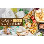 菓子 ヨーグルト 乳製品 定期便 6回 牧成舎
