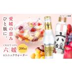 焼酎 クラフトジン 道後ジン 六媛 200ml×1本