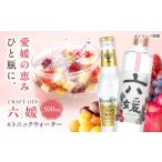 焼酎 クラフトジン 道後ジン 六媛 500ml×1本