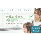 体験チケット カット カラー トリートメント