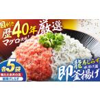 マグロ 龍馬しらすと鮪たたきの紅白丼 株式会社