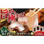 魚貝類 鯛 若狭小浜の小鯛のどぐろ ヒゲタラの昆布締め