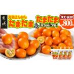 みかん 柑橘類 完熟きんかん たまたまL &amp;