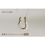 アクセサリー ネックレス 馬蹄ネックレス