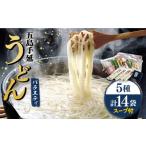 うどん 乾めん 色んな味が楽しめる 五島手延うどん 5種