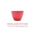 陶磁器 漆器 ガラス 美濃焼 ローズレッド Plant