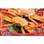 ふるさと納税 カニ 兵庫県 香美町  兵庫県香住産 釜茹で 香住ガニ（紅ズワイガニ）2〜3匹 冷蔵 カニの水揚げ次第順次発送予定 新鮮な香住ガニ 絶妙な塩加減で…
