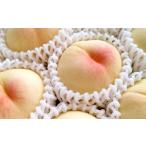 ふるさと納税 もも 岡山県 倉敷市 もっとも旬な品種の桃をお届け 岡山の桃 2kg 2026年6月下旬〜9月下旬 発送予定 桃 人気フルーツ 人気桃 おすすめフルーツ 岡…