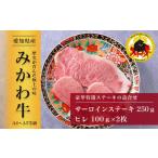 牛肉 ステーキ みかわ牛 豪華特選ステーキ詰合せ