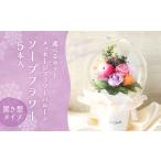 花 苗木 花束 ピンクのみ メッセージフラワーバルーン