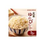 ふるさと納税 玄米 北