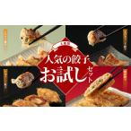 ふるさと納税 餃子 群馬県 渋川市 人気餃子の4種類お試しセット 冷凍 焼餃子 水餃子 中華 ぎょうざ ギョーザ お弁当 おかず F4H-0218