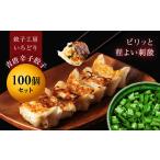 ふるさと納税 餃子 群馬県 渋川市 青唐辛子餃子100個セット 冷凍 焼餃子 水餃子 中華 ぎょうざ ギョーザ お弁当 おかず F4H-0223