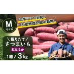 掘りたて さつまいも 紅はるか 3kg
