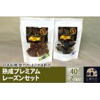 加工品等 熟成プレミアムレーズンセット 40g×2パック