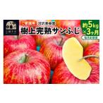 ふるさと納税 りんご 秋田県 横手市 《定期便3ヶ月》樹上完熟サンふじ ご家庭用 約5kg(13〜23玉前後)×3回 計15kg 3か月 3ヵ月 3カ月 3ケ月