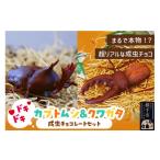 菓子 チョコレート カブトムシの成虫チョコレート&クワガタ…