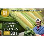 とうもろこし 2027年5月 ヒゲまで美味しい
