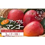 ふるさと納税 マンゴー 鹿児島県 南大隅町 先行予約・数量限定 訳あり 本土最南端 佐多の果樹園で育てた 完熟アップルマンゴー1kg (2〜3玉) 家庭用 2026年7月…