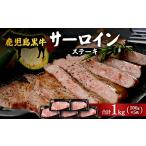 牛肉 サーロイン 鹿児島黒牛 5等級 サーロインステーキ 1kg