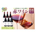 ワイン 赤ワイン 産ぶどうで作った赤ワイン6本セット