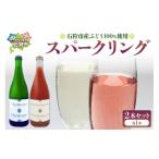 ふるさと納税 ワイン スパークリングワイン 北海道 石狩市 石狩市産ぶどうで作ったスパークリング 2本セット
