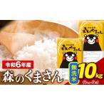 ショッピングふるさと納税 無洗米 ふるさと納税 熊本県 玉東町 令和5年産 森のくまさん 無洗米 10kg 《7-14営業日以内に出荷予定(土日祝除く)》  5kg×2袋 熊本県産 米 精米 森くま 熊本県 玉東…
