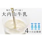 飲料類 牛乳 4か月定期便 大内山牛乳の定期便 1L×3本を4か…