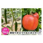 fu.... налог комплект *... Saitama префектура криптомерия дверь блок утро .. огурец &... комплект l свежий производство прямой сельское хозяйство дом прямая поставка помидор огурец овощи Saitama криптомерия дверь 0205