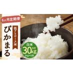 米 新米 6ヶ月定期便 低アミロース米 ぴかまる 5kg