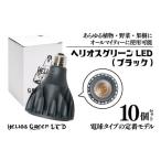照明関連 BN021-1 電球タイプの定番モデル10個セット