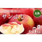 ふるさと納税 りんご 長野県 山ノ内町 志賀高原の麓で育った サンふじ 丸秀18玉 約5kg りんご 5kg フルーツ 果物 デザート 長野
