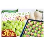 ふるさと納税 いちご 茨城県 城里町 2025年12月より発送 シャインマスカットと白いちごの宝石箱36粒(県内共通返礼品_石岡市産) (BR010)