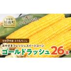 とうもろこし 令和9年発送 産とうもろこし