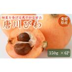 fu.... налог фрукты вид локва Ehime префектура .. город локва Tang река локва предшествующий предварительный заказ 350g×6 упаковка ввод 2026 год 5 месяц последняя декада после отправка lB124