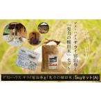 米 コシヒカリ 令和6年産 ゲストハウス サライ宿泊券&鬼力…