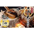 ふるさと納税 魚貝類 京都府 福知山市  訳あり さざえの壺焼き 100〜150g サイズ×5個 （大きさ不揃い） ふるさと納税 訳あり さざえ サザエ 壷 新鮮 京都府 …