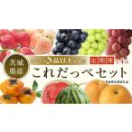 果物の詰合せ 定期便 旬のフルーツはこれだっぺセット