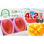 ふるさと納税 マンゴー 宮崎県 西都市 大玉4Lサイズ2個 宮崎県西都市産 完熟マンゴー 糖度12度以上 特大サイズ 先行予約 1.5-178 宮崎マンゴー 果物 フルーツ…