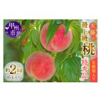ふるさと納税 もも 山梨県 甲州市 桃の一大産地『大藤の特秀品』 透過式光センサー選別化粧箱入り 約2kg 2025年発送 (MG)B12-474 特秀品 桃 もも モモ 令和7…