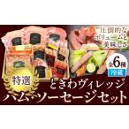 肉 ハム K-09 ときわヴィレッジ 特撰 ソーセージセット