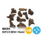 生き物 塊状流木 SSサイズ 約10~15cm 10個
