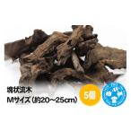 生き物 塊状流木 Mサイズ 約20~25cm 5個