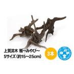生き物 上質流木 雅~みやび~ Sサイズ 約15~25cm 3本