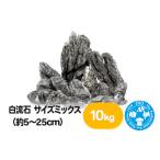 生き物 白流石 サイズミックス 約5~25cm 10kg